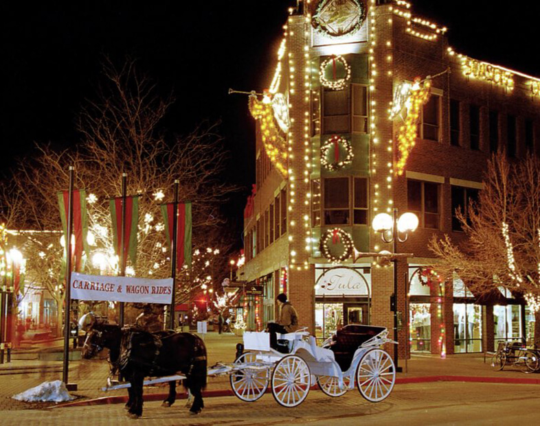 Carriage rides in Fort Collins CO