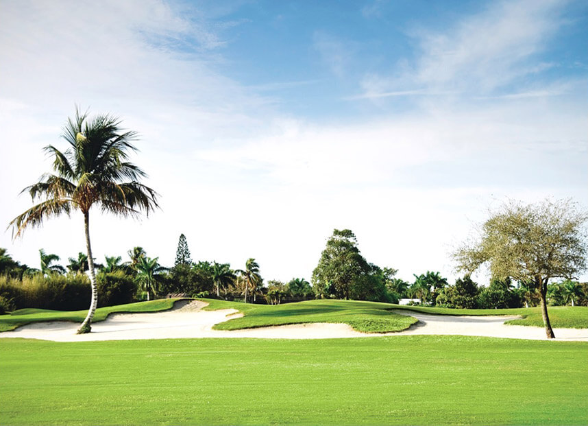 Golf Course in Naples Florida