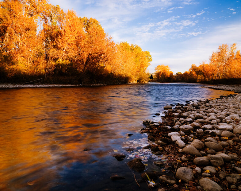 Boise river during autumn